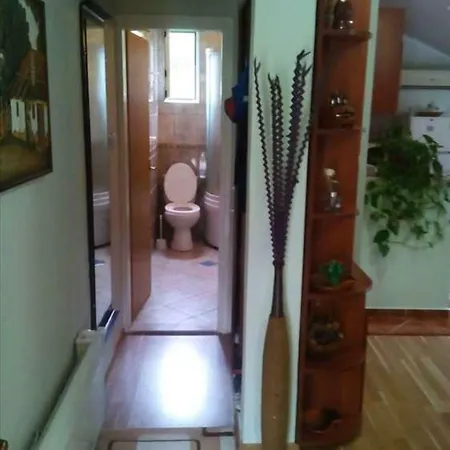 Zelenika Apartman